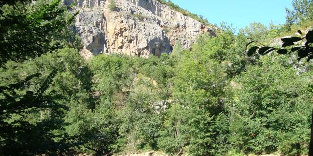 Canoe kayak Gorges de l'Aveyron Activité de nature