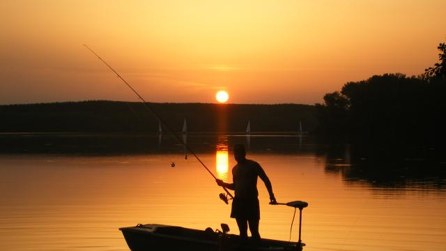 La pêche en Tarn-et-Garonne