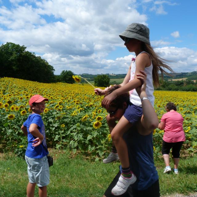 Escapade À Labarthe