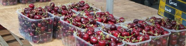 Cerises du Tarn-et-Garonne