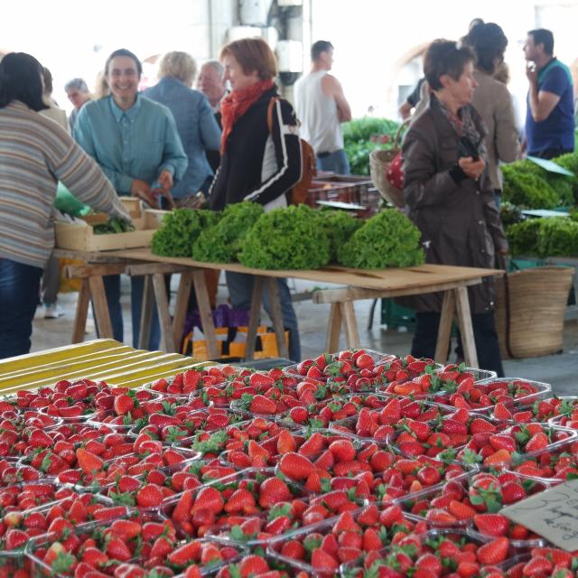 Fraises du Tarn-et-Garonne