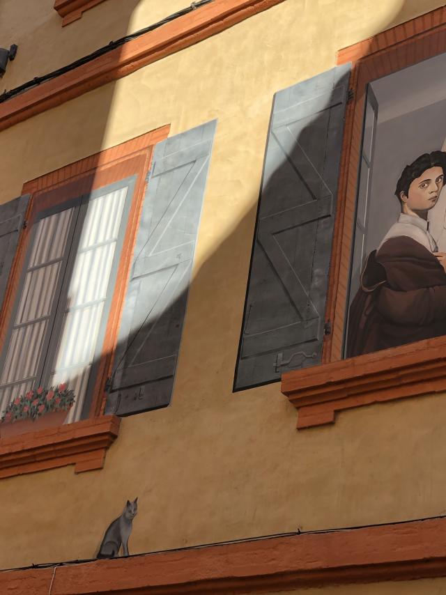 Street Art Montauban-Ingres en trompe l'oeil