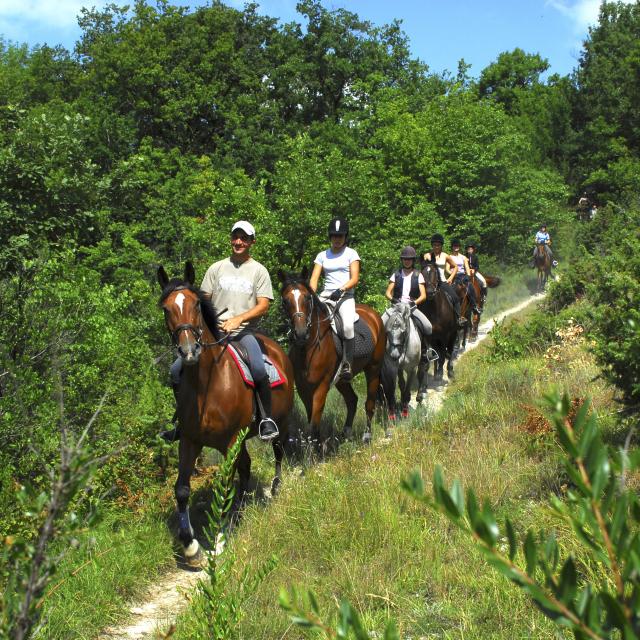 Séjours enfants et ados en Tarn-et-Garonne