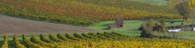 Coteaux Du Quercy