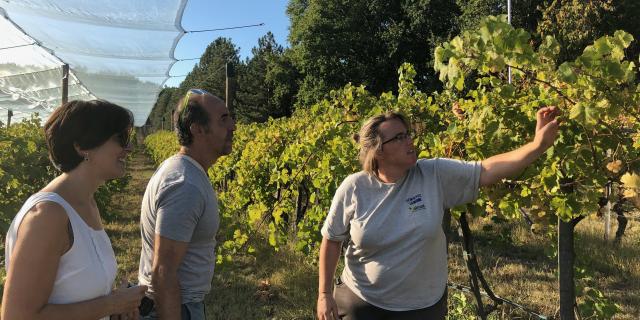 Visite ferme chasselatière