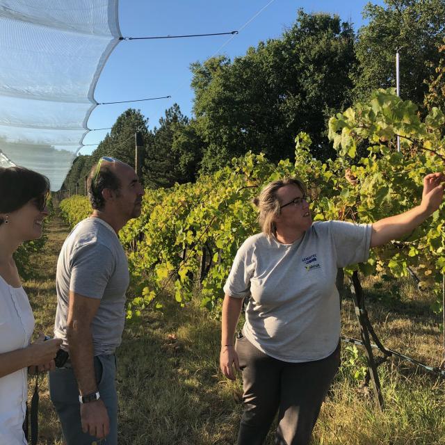 Visite ferme chasselatière