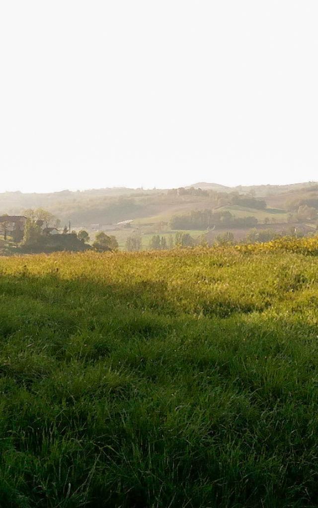 Un Vallon Du Bas Quercy Vazeracais