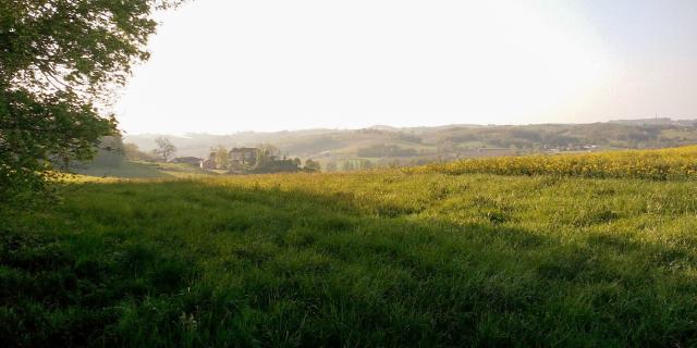 Un Vallon Du Bas Quercy Vazeracais