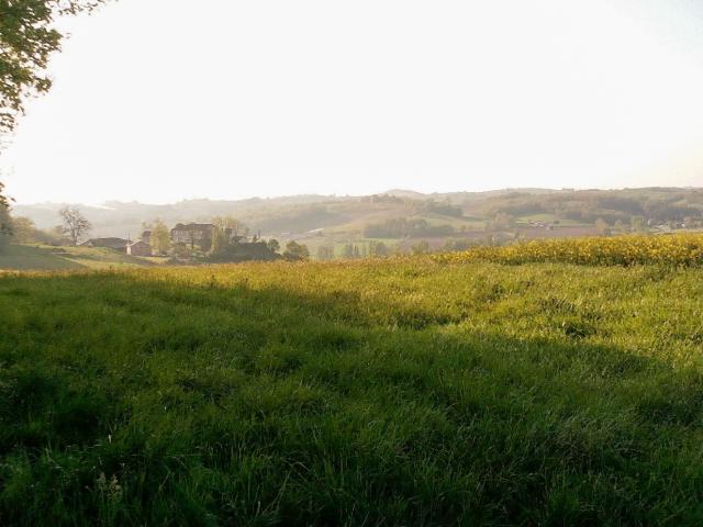 Un Vallon Du Bas Quercy Vazeracais