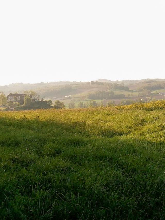 Un Vallon Du Bas Quercy Vazeracais