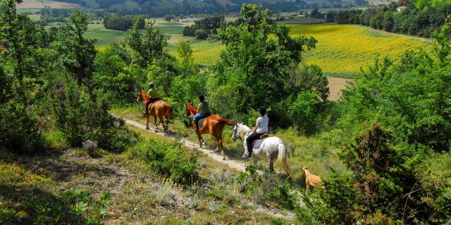 Balade à cheval et randonnées équestres en Tarn-et-Garonne