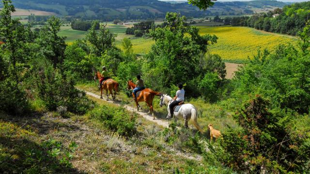 Balade à cheval et randonnées équestres en Tarn-et-Garonne