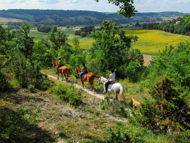 Balade à cheval et randonnées équestres en Tarn-et-Garonne