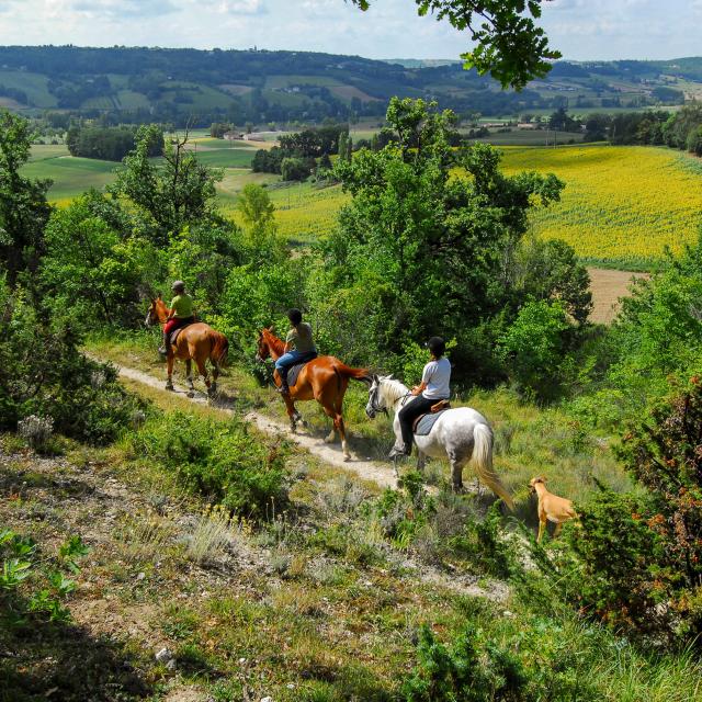 Balade à cheval et randonnées équestres en Tarn-et-Garonne