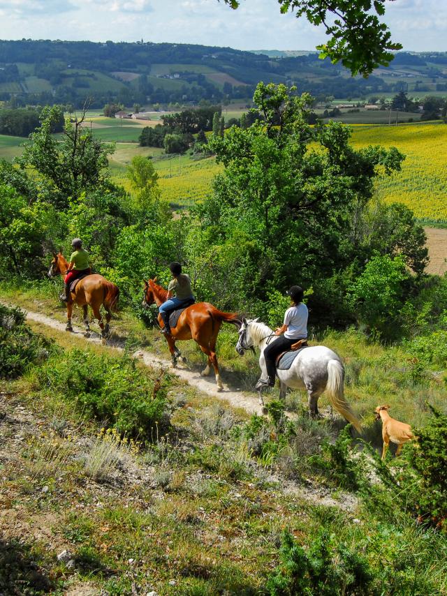 Balade à cheval et randonnées équestres en Tarn-et-Garonne