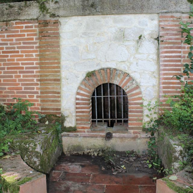 Fontaine Chêne De Merles