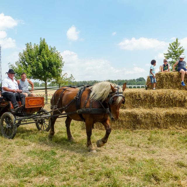 La fête du goût et des saveurs