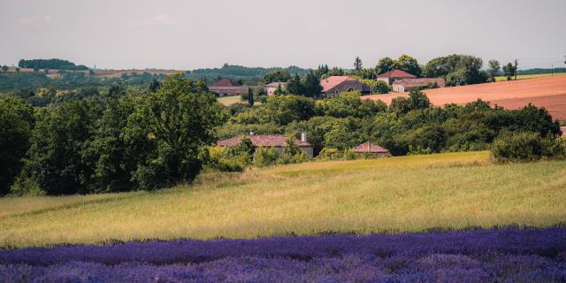 Coteaux du Quercy entre vergers et pierre blanche