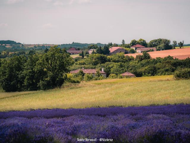 Coteaux du Quercy entre vergers et pierre blanche