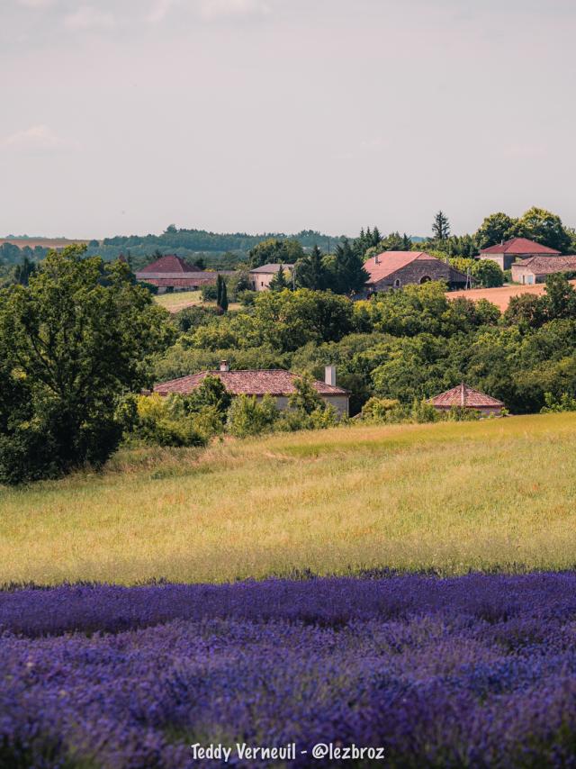 Coteaux du Quercy entre vergers et pierre blanche