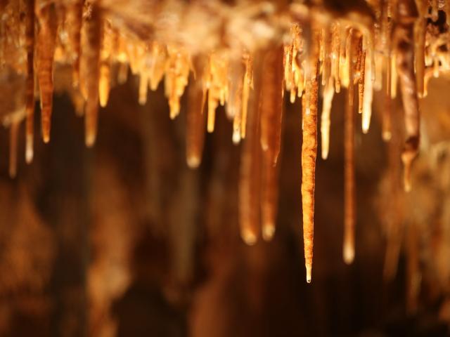 La grotte du Bosc