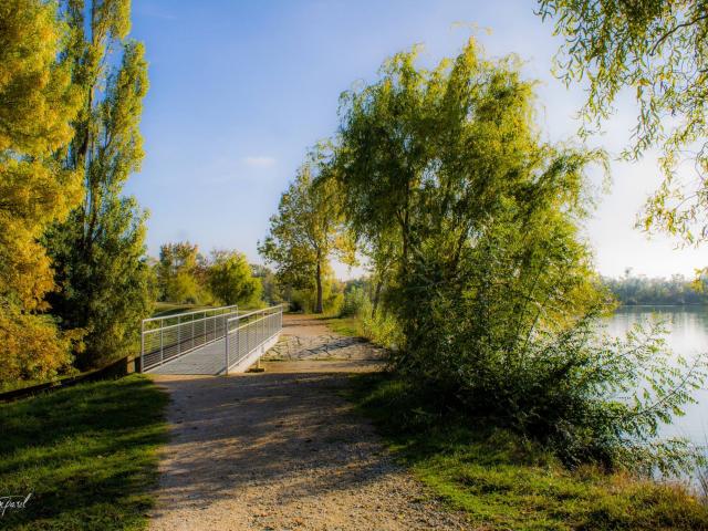 Lac De Beaumont De Lomagne