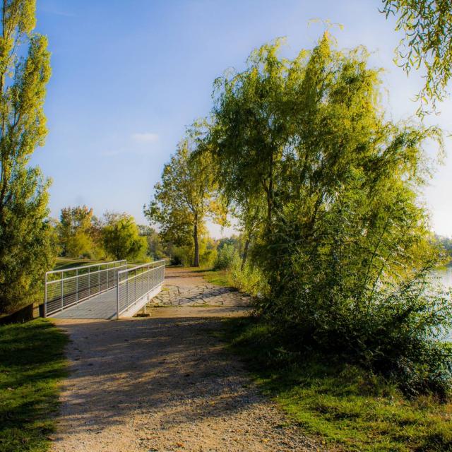 Lac De Beaumont De Lomagne