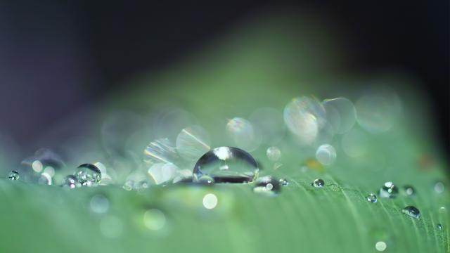 Jour De Pluie Tarn Et Garonne