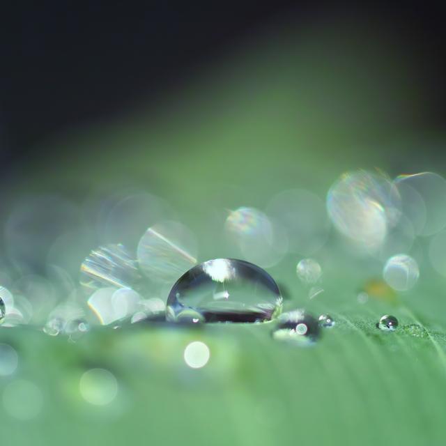 Jour De Pluie Tarn Et Garonne