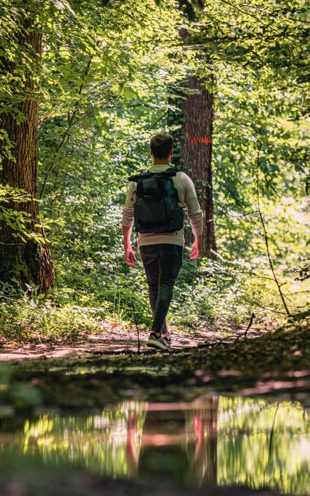 Randonnée Forêt Agre Tarn et garonne