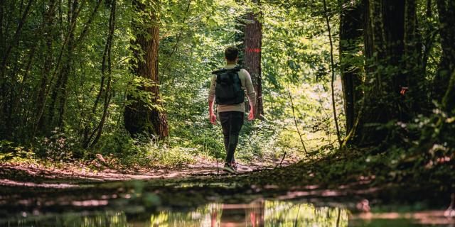 Randonnée Forêt Agre Tarn et garonne