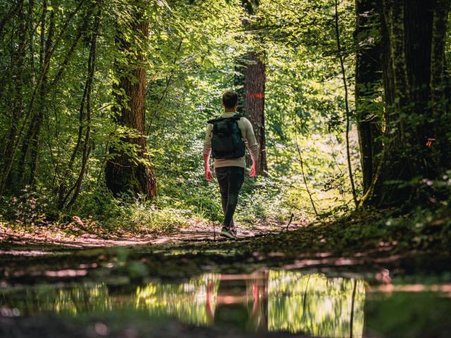 Randonnée Forêt Agre Tarn et garonne