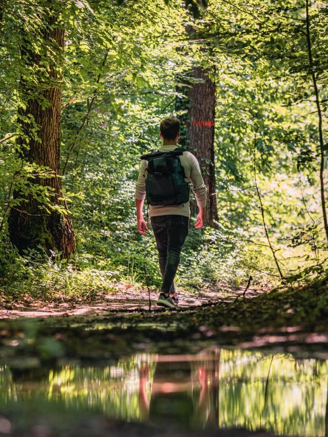 Randonnée Forêt Agre Tarn et garonne