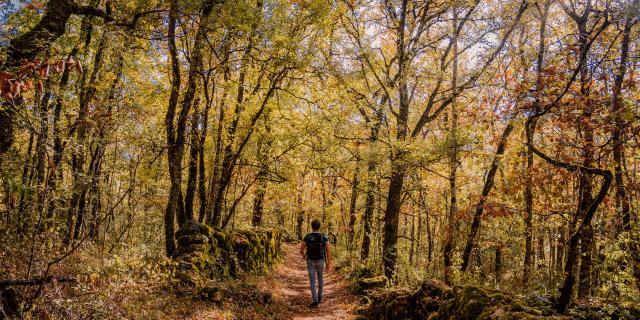 Tops 5 de la destination Tarn-et-Garonne