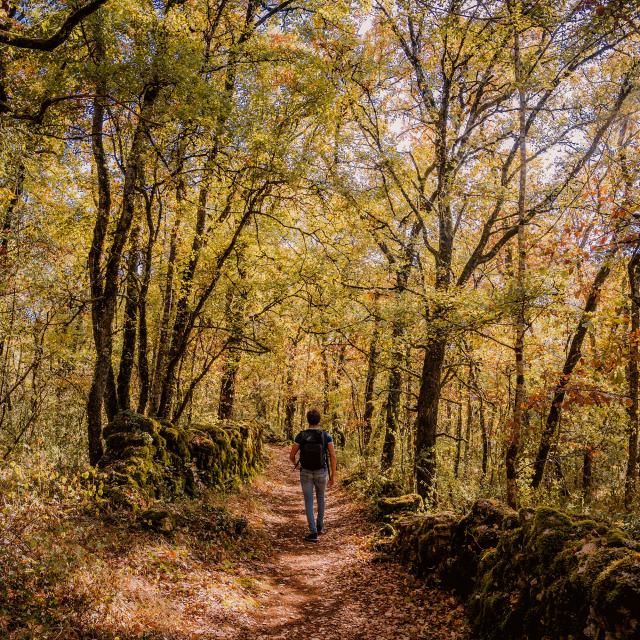 Tops 5 de la destination Tarn-et-Garonne