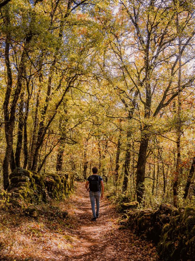 Tops 5 de la destination Tarn-et-Garonne