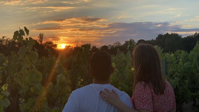 Amour Dans Les Vignes