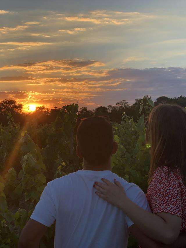 Amour Dans Les Vignes