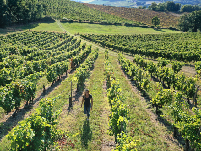 Domaine De Mazuc Jerome Morel