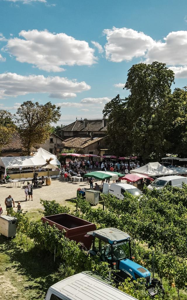 Fete Des Vendanges Aurelien Desmiers