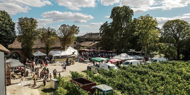 Fete Des Vendanges Aurelien Desmiers