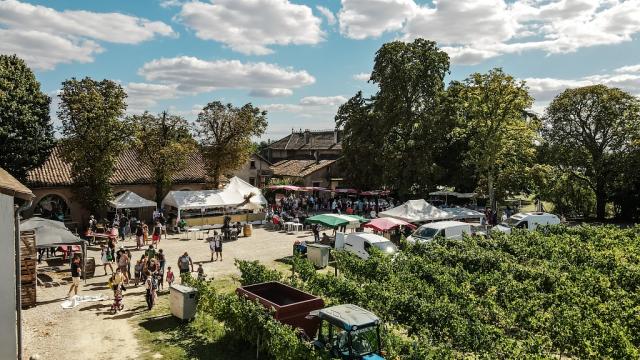 Fete Des Vendanges Aurelien Desmiers