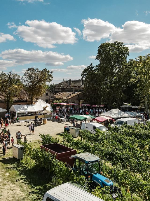 Fete Des Vendanges Aurelien Desmiers