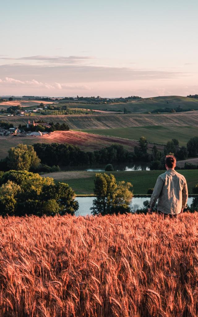 Paysage de la Lomagne tarn et garonnaise