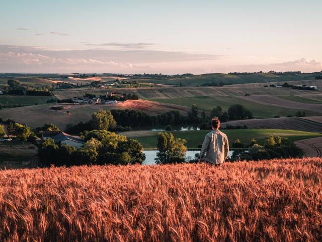 Paysage de la Lomagne tarn et garonnaise