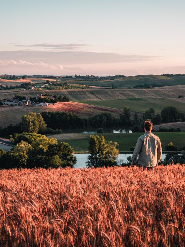 Paysage de la Lomagne tarn et garonnaise