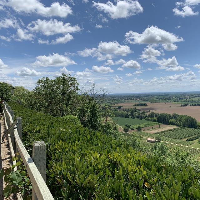 Point De Vue De Piquecos