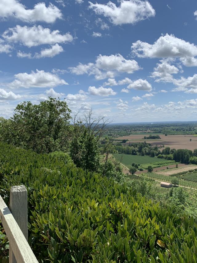 Point De Vue De Piquecos