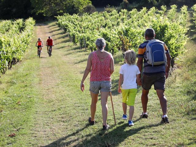 Domaine De Revel Jerome Morel