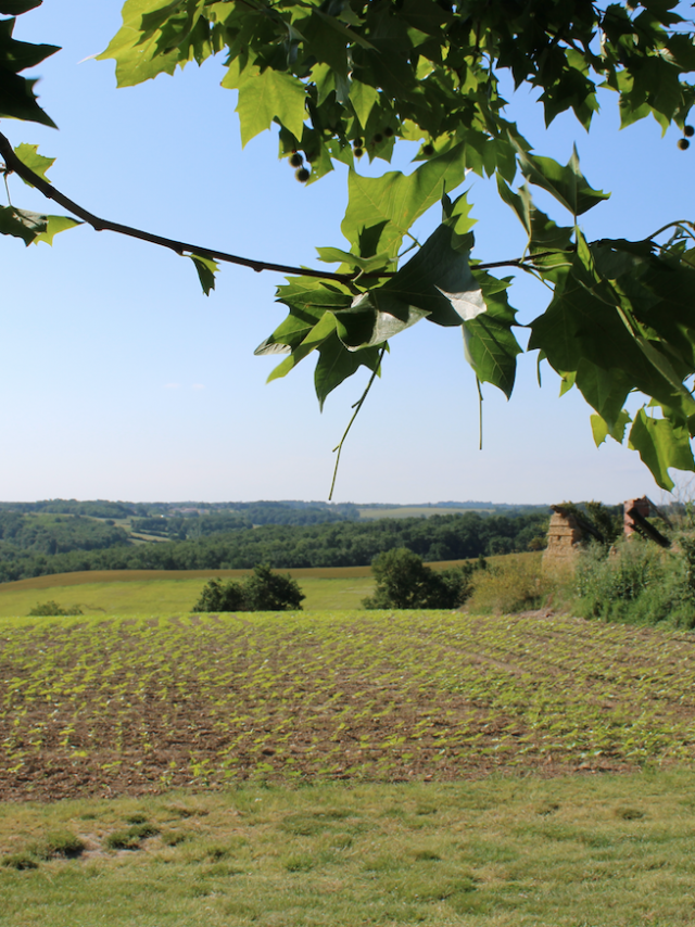 Point De Vue Varennes